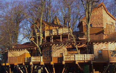 giant-amazing-treehouse giant-amazing-treehouse