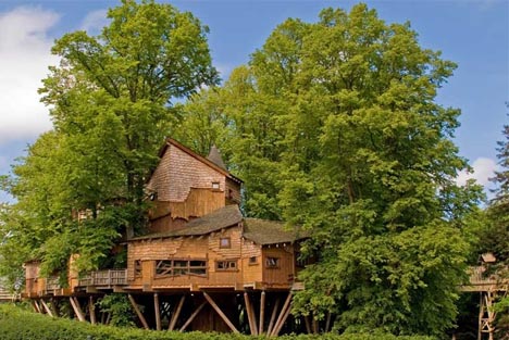 Cool Tree House