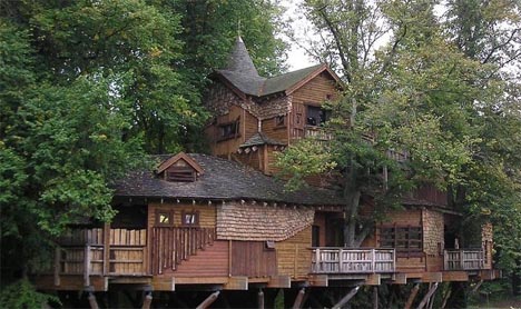 giant-forest-tree-house-building giant-forest-tree-house-building