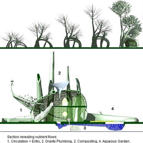growing-treehouse-plans-diagrams