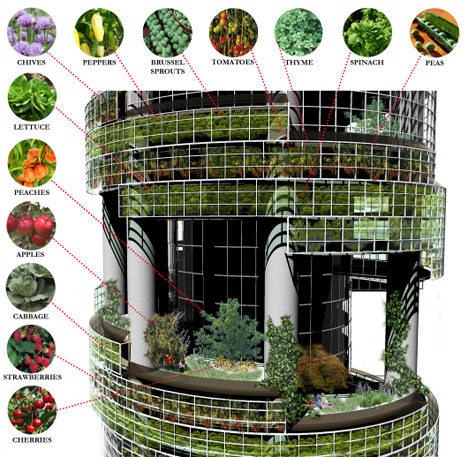 urban-farm-plants-vegetables