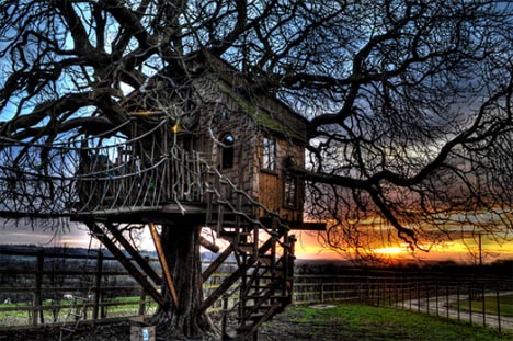 tree house haunted image