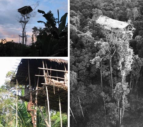 tree house traditional designs tree house traditional designs