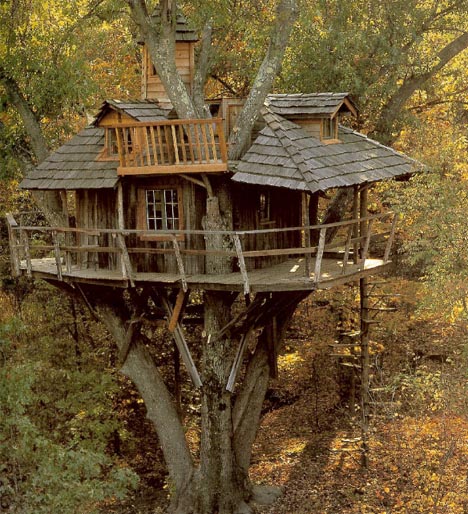 tree house wood classic