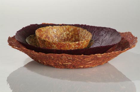 edible dish designs