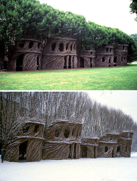 natural shaped tree houses