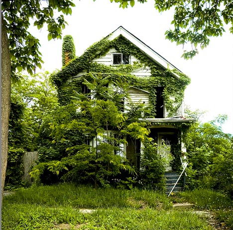 abandoned houses wild