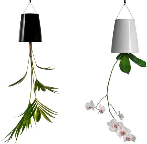 Luxury Home Design on House Home Designs  Inverted Indoor Planter For Hanging Plants Upside