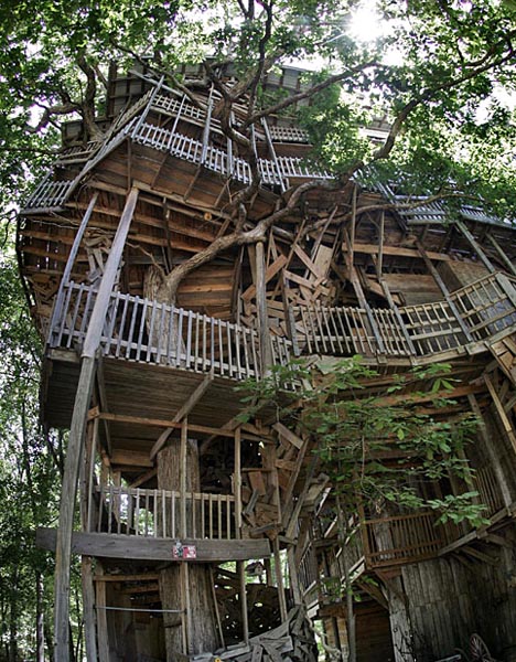giant handmade tree house