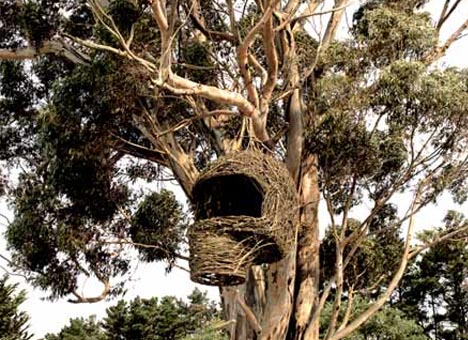 organic tree house exterior
