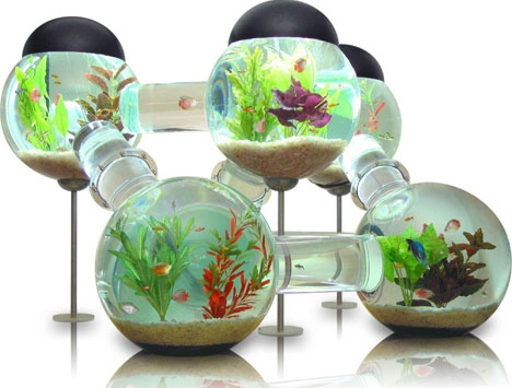 cool designs for your room.  to add some life to your living room – but with these cool aquariums, 