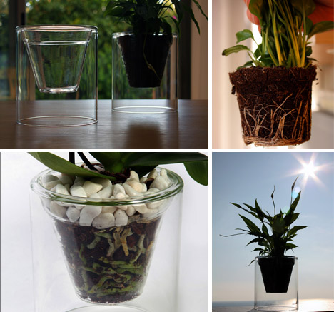 size see through pots