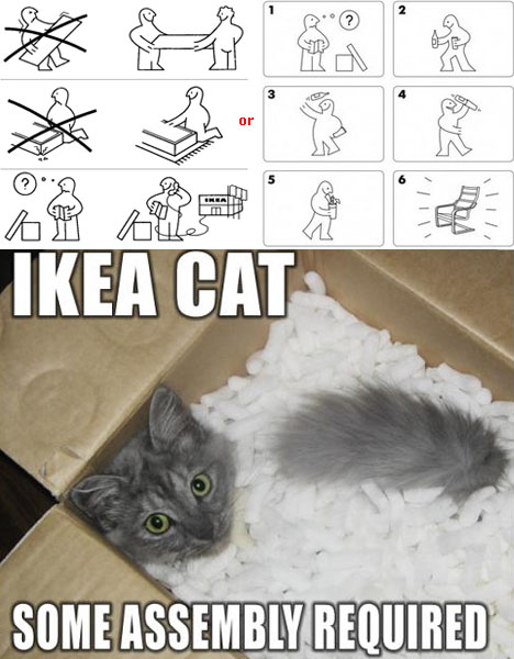 ikea cat comic humor