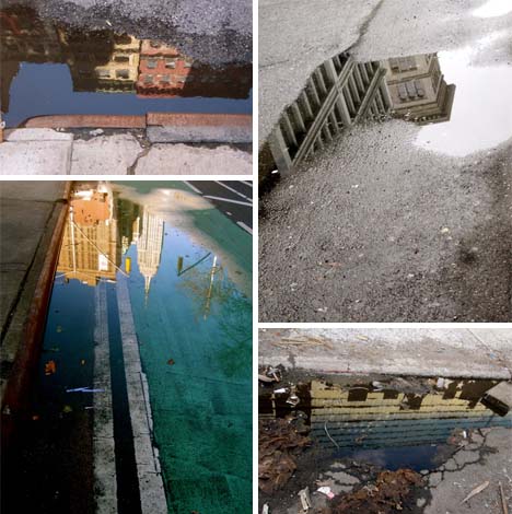 puddle city designer photography