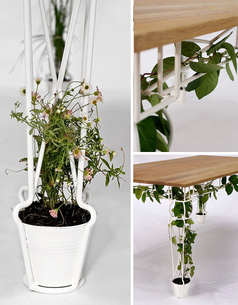 plant food growing vines