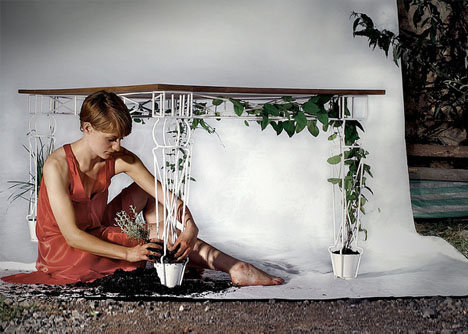 plantable plant table hybrid