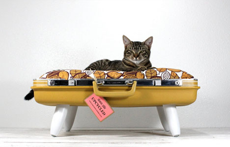 cat elevated recycled beds