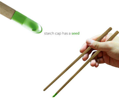 chopstick embedded seed growth