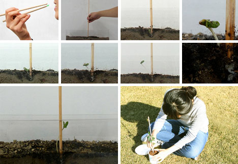 chopstick planting process design