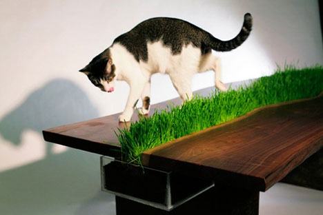 planter-table-4