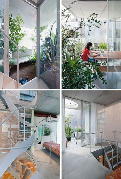 urban green privacy screens