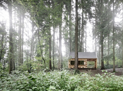 forest owl house
