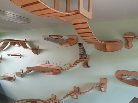 goldtatze modular cat play system