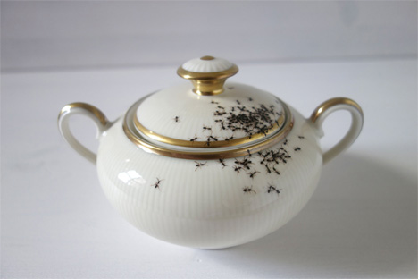 fine china with hand painted ants