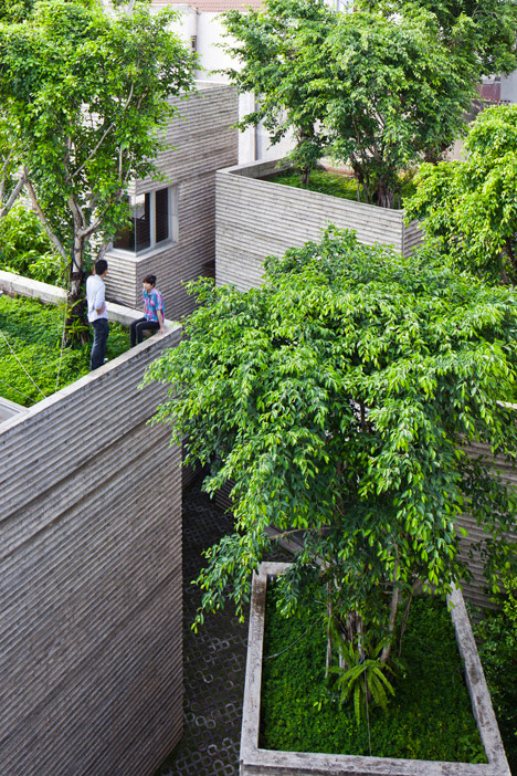 Tree Topped Houses Vietnam 2