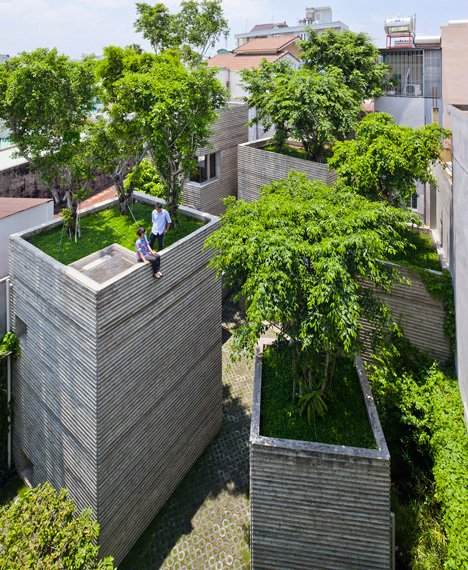 Tree Topped Houses Vietnam 5
