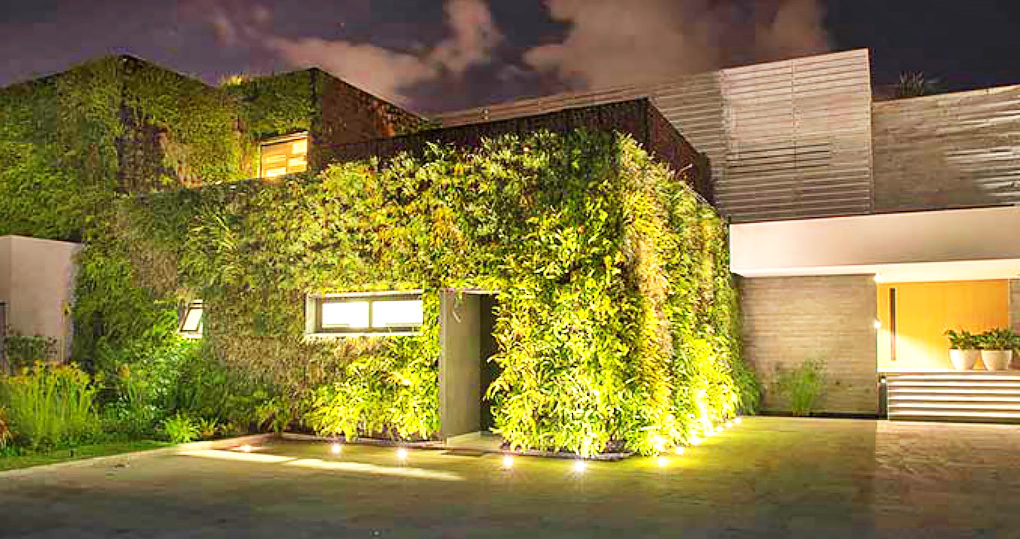 Literally Green: Eco-Friendly House Covered in Naturally Insulating Vegetation