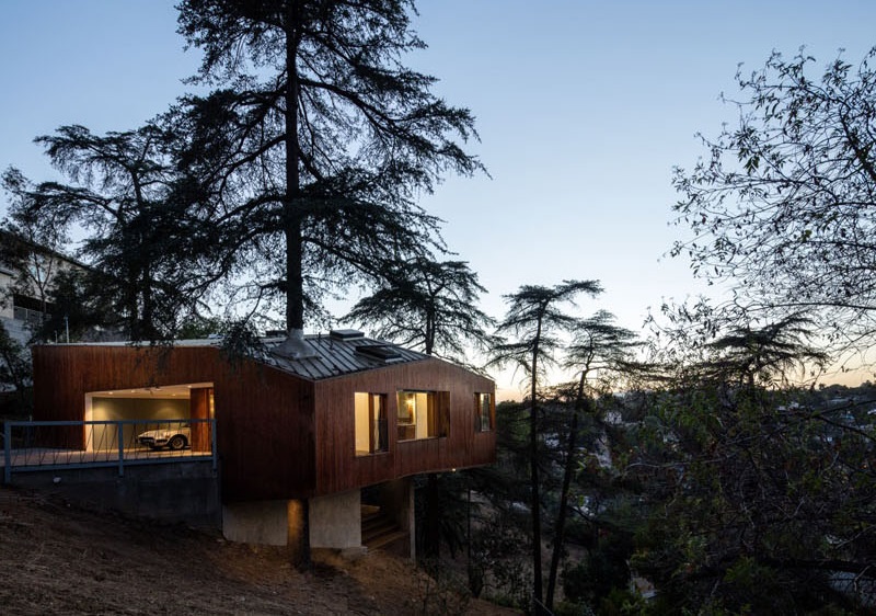Hillside Home: Cozy Cantilevered Design Built Around a Tree